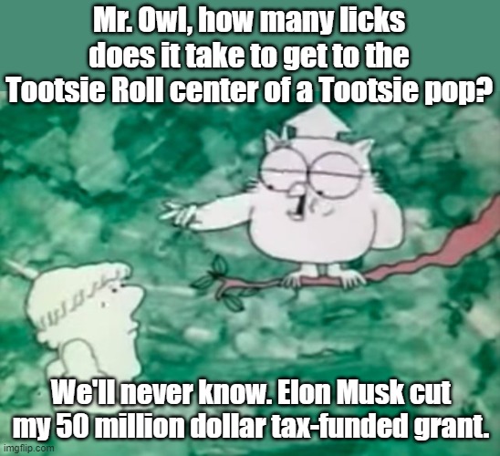 Mr. Owl meme | Mr. Owl, how many licks does it take to get to the Tootsie Roll center of a Tootsie pop? We'll never know. Elon Musk cut my 50 million dollar tax-funded grant. | image tagged in mr owl,elon musk,doge | made w/ Imgflip meme maker