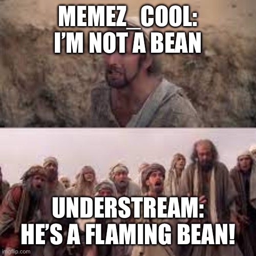 hes the messiah | MEMEZ_COOL: I’M NOT A BEAN UNDERSTREAM: HE’S A FLAMING BEAN! | image tagged in hes the messiah | made w/ Imgflip meme maker