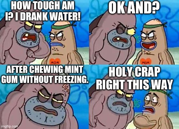 how | HOW TOUGH AM I? I DRANK WATER! OK AND? AFTER CHEWING MINT GUM WITHOUT FREEZING. HOLY CRAP RIGHT THIS WAY | image tagged in welcome to the salty spitoon,how | made w/ Imgflip meme maker