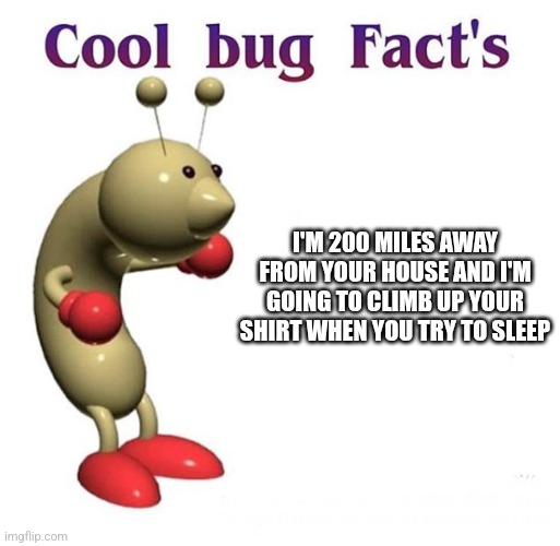 Cool Bug Facts | I'M 200 MILES AWAY FROM YOUR HOUSE AND I'M GOING TO CLIMB UP YOUR SHIRT WHEN YOU TRY TO SLEEP | image tagged in cool bug facts | made w/ Imgflip meme maker