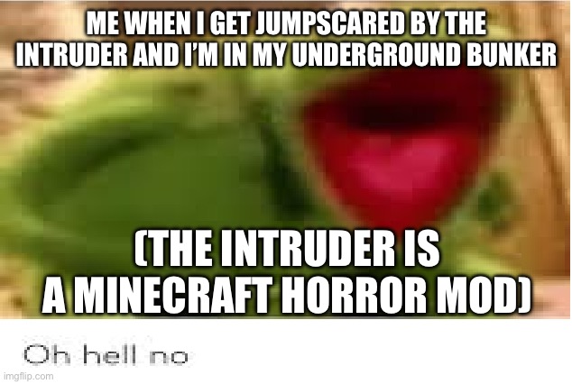 Oh Hell No | ME WHEN I GET JUMPSCARED BY THE INTRUDER AND I’M IN MY UNDERGROUND BUNKER; (THE INTRUDER IS A MINECRAFT HORROR MOD) | image tagged in oh hell no,im dead now,stop reading the tags,jumpscare | made w/ Imgflip meme maker