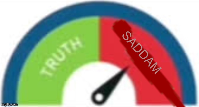 incorrect buzzer | SADDAM | image tagged in incorrect buzzer | made w/ Imgflip meme maker