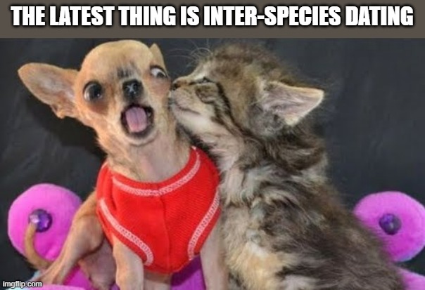 memes by Brad - Dogs and cats dating is the latest trend - humor - | THE LATEST THING IS INTER-SPECIES DATING | image tagged in cats,dogs,kitten,cats and dogs,funny,humor | made w/ Imgflip meme maker