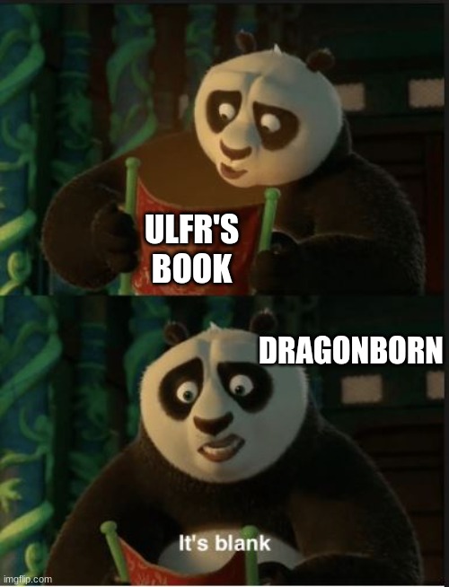 Fun fact Ulfr's book (Ulfr the blind) from Skyrim is blank. idk why, prob cuz he's blind. still funny tho | ULFR'S BOOK; DRAGONBORN | image tagged in its blank | made w/ Imgflip meme maker