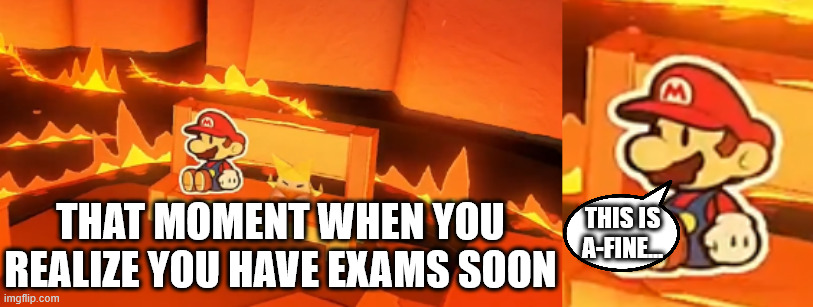 paper mario this is fine | THAT MOMENT WHEN YOU REALIZE YOU HAVE EXAMS SOON | image tagged in paper mario this is fine | made w/ Imgflip meme maker