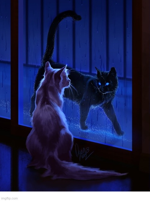 The Encounter | image tagged in cats | made w/ Imgflip meme maker