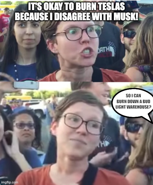 Two faced liberal snowflake | IT'S OKAY TO BURN TESLAS BECAUSE I DISAGREE WITH MUSK! SO I CAN BURN DOWN A BUD LIGHT WAREHOUSE? | image tagged in two faced liberal snowflake | made w/ Imgflip meme maker