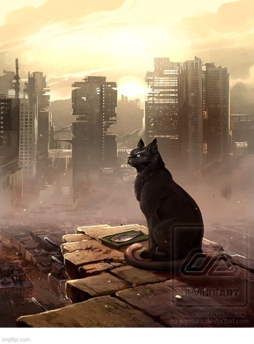 Dystopia | image tagged in cats | made w/ Imgflip meme maker
