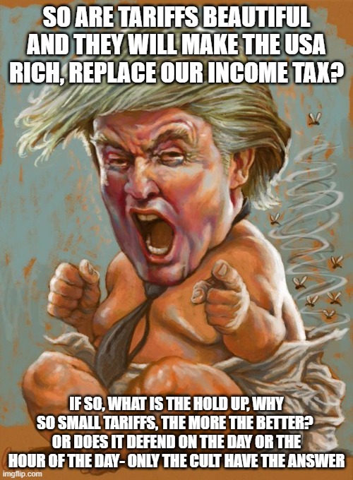 CULT LOGIC | SO ARE TARIFFS BEAUTIFUL AND THEY WILL MAKE THE USA RICH, REPLACE OUR INCOME TAX? IF SO, WHAT IS THE HOLD UP, WHY SO SMALL TARIFFS, THE MORE THE BETTER? 
OR DOES IT DEFEND ON THE DAY OR THE HOUR OF THE DAY- ONLY THE CULT HAVE THE ANSWER | image tagged in trump baby infant full diaper | made w/ Imgflip meme maker