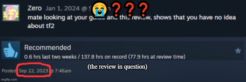 why is bro getting mad at a year old steam review | 😭❓❓❓; (the review in question) | made w/ Imgflip meme maker