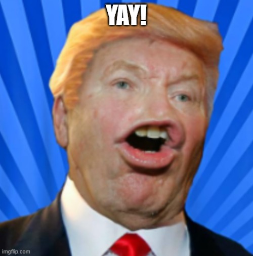 YAY! | image tagged in pathetic don | made w/ Imgflip meme maker