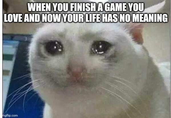 Istg | WHEN YOU FINISH A GAME YOU LOVE AND NOW YOUR LIFE HAS NO MEANING | image tagged in crying cat | made w/ Imgflip meme maker