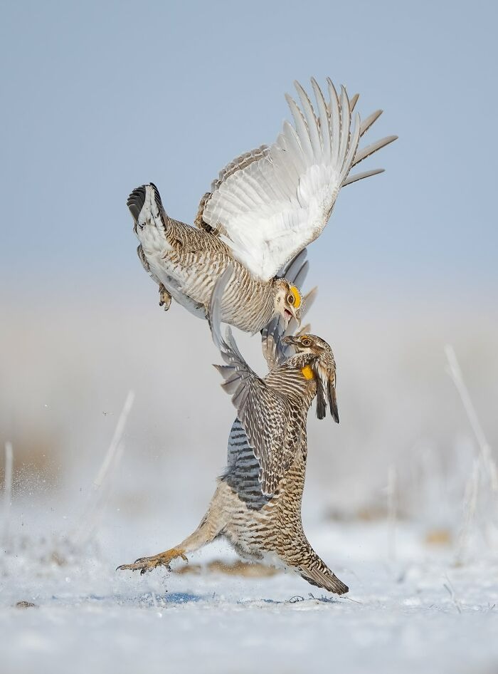 "Hammer Slam" Photo credit: Alan Murphy | image tagged in photography | made w/ Imgflip meme maker