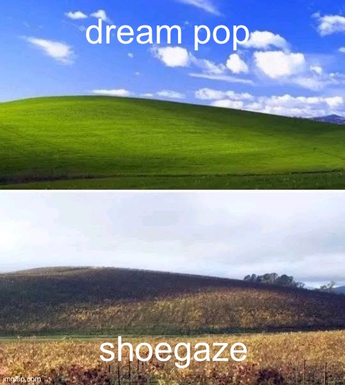 shoegaze | dream pop; shoegaze | image tagged in shoegaze | made w/ Imgflip meme maker