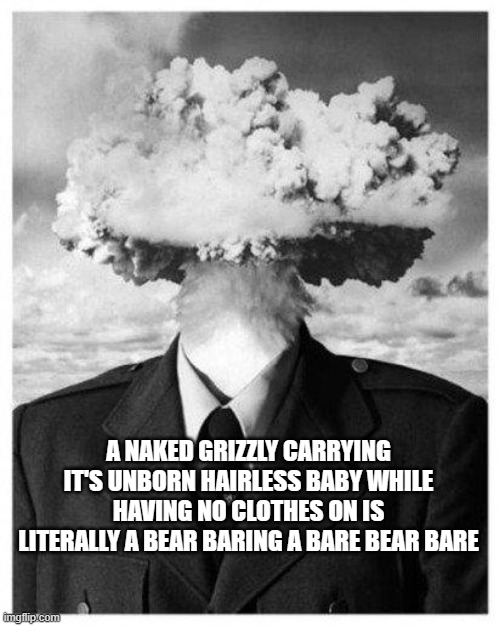 Grrrr? | A NAKED GRIZZLY CARRYING IT'S UNBORN HAIRLESS BABY WHILE HAVING NO CLOTHES ON IS LITERALLY A BEAR BARING A BARE BEAR BARE | image tagged in mind blown,animal,blow my mind,bear | made w/ Imgflip meme maker