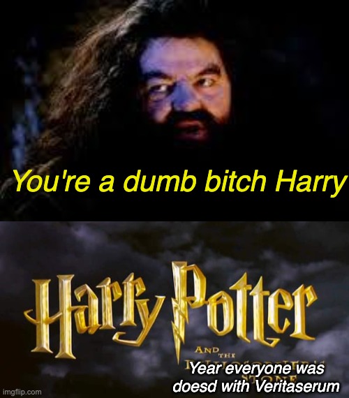 You're a dumb bitch Harry; Year everyone was doesd with Veritaserum | image tagged in your a wizard harry | made w/ Imgflip meme maker