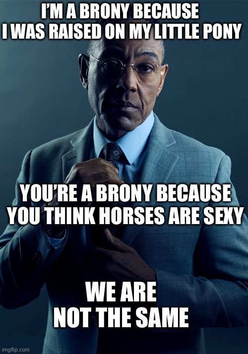 Gus Fring we are not the same | I’M A BRONY BECAUSE 
I WAS RAISED ON MY LITTLE PONY; YOU’RE A BRONY BECAUSE YOU THINK HORSES ARE SEXY; WE ARE NOT THE SAME | image tagged in gus fring we are not the same | made w/ Imgflip meme maker