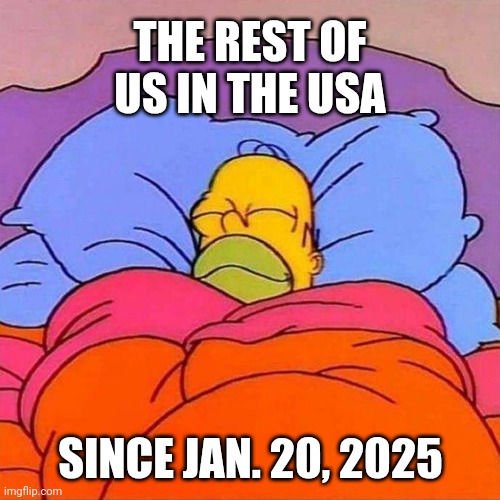 Homer Napping | THE REST OF US IN THE USA SINCE JAN. 20, 2025 | image tagged in homer napping | made w/ Imgflip meme maker