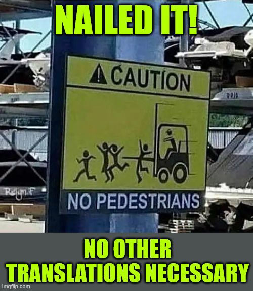 Everyone should get the point | NAILED IT! NO OTHER TRANSLATIONS NECESSARY | image tagged in you had one job,everyone should get the point | made w/ Imgflip meme maker