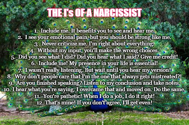 The I's of a Narcissist | 1.  Include me. It benefits you to see and hear me.
2.  I see your emotional pain, but you should be strong like me.
3 . Never criticize me. I'm right about everything.
4.  Without my input, you'll make the wrong choices.
5.  Did you see what I did? Did you hear what I said? Give me credit!
6.  Include me! My presence in your life is essential!
7.  I wasn't really listening. But wait until you hear my version!
8 . Why don't people care that I'm the one that always gets mistreated?!
9.  Are you finished speaking? Listen to my conclusion and take notes.
10. I hear what you're saying. I overcame that and moved on. Do the same.
11.  You're pathetic! When I do a job, I do it right!
12. That's mine! If you don't agree, I'll get even! THE I's OF A NARCISSIST | image tagged in peacock | made w/ Imgflip meme maker