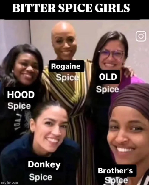 The Squad is now known as the Bitter Spice Girls | image tagged in dems,disown,the squad,far left politics dead,political,reposts | made w/ Imgflip meme maker