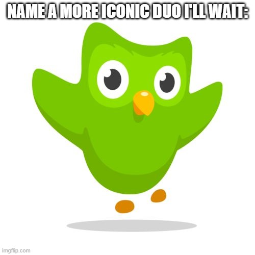 things duolingo teaches you | NAME A MORE ICONIC DUO I'LL WAIT: | image tagged in things duolingo teaches you | made w/ Imgflip meme maker