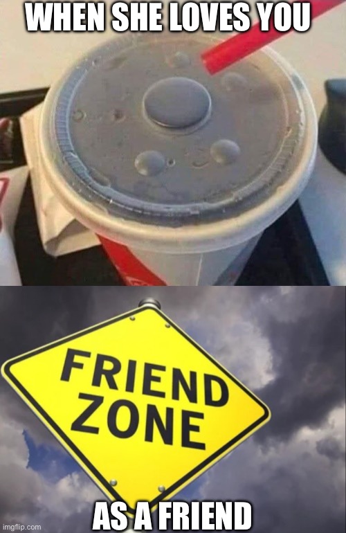 Friend Zoned | WHEN SHE LOVES YOU; AS A FRIEND | image tagged in friend zone sign,friends,love,mcdonalds,straw,drink | made w/ Imgflip meme maker