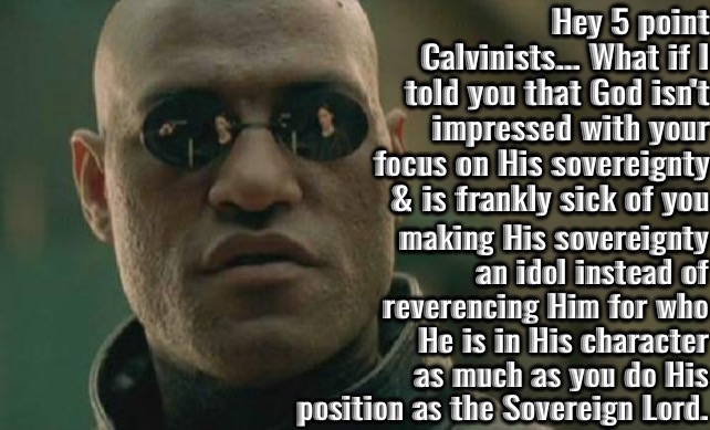 An Idol Of Sovereignty Itself | Hey 5 point Calvinists... What if I told you that God isn't impressed with your focus on His sovereignty & is frankly sick of you; making His sovereignty an idol instead of reverencing Him for who He is in His character as much as you do His position as the Sovereign Lord. | image tagged in what if i told you,calvinism,arminian,molinism,reformed theology 5 point calvinists,nuanced gnostic ai idolatry | made w/ Imgflip meme maker