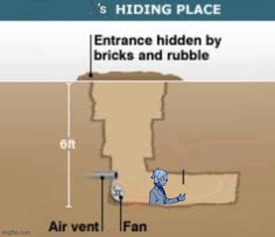 Saddam Hussein's hiding place blank | image tagged in saddam hussein's hiding place blank | made w/ Imgflip meme maker