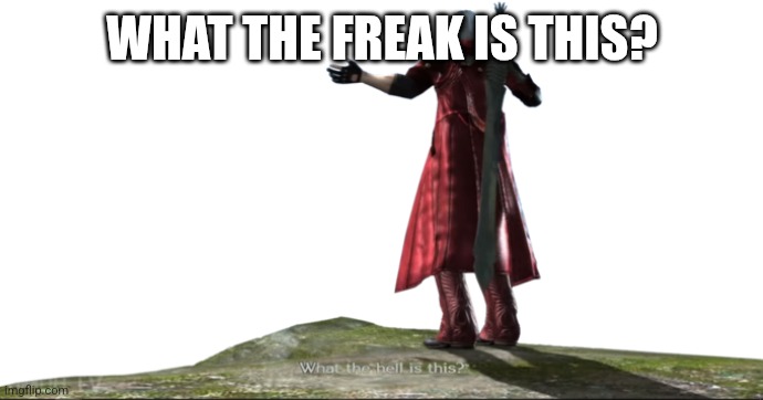 What the hell is this? - DMC4 | WHAT THE FREAK IS THIS? | image tagged in what the hell is this - dmc4 | made w/ Imgflip meme maker