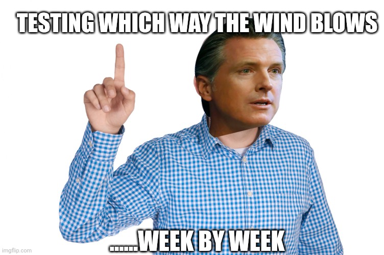 Slimiest of all slime balls | TESTING WHICH WAY THE WIND BLOWS; ......WEEK BY WEEK | image tagged in bald man finger up | made w/ Imgflip meme maker