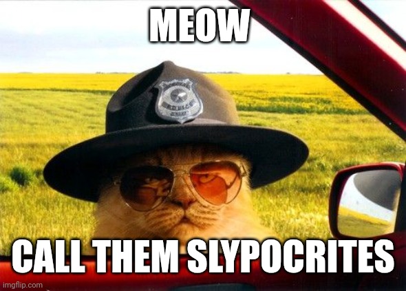 Busted by the Hypocrite Police | MEOW CALL THEM SLYPOCRITES | image tagged in busted by the hypocrite police | made w/ Imgflip meme maker