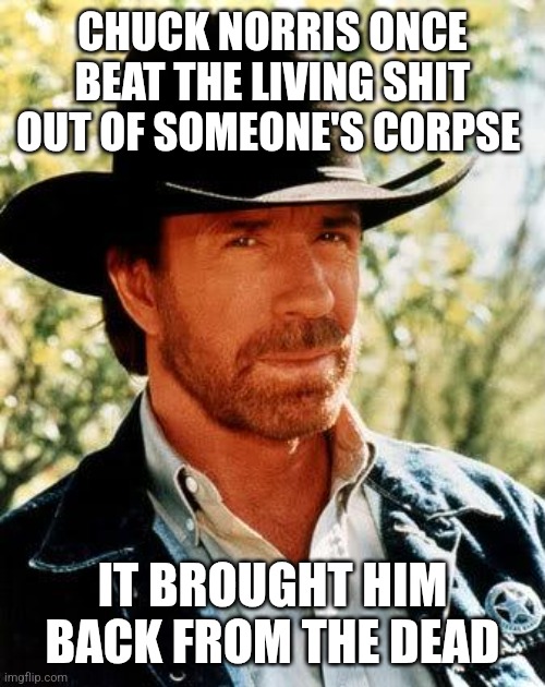 Chuck Norris | CHUCK NORRIS ONCE BEAT THE LIVING SHIT OUT OF SOMEONE'S CORPSE; IT BROUGHT HIM BACK FROM THE DEAD | image tagged in memes,chuck norris | made w/ Imgflip meme maker