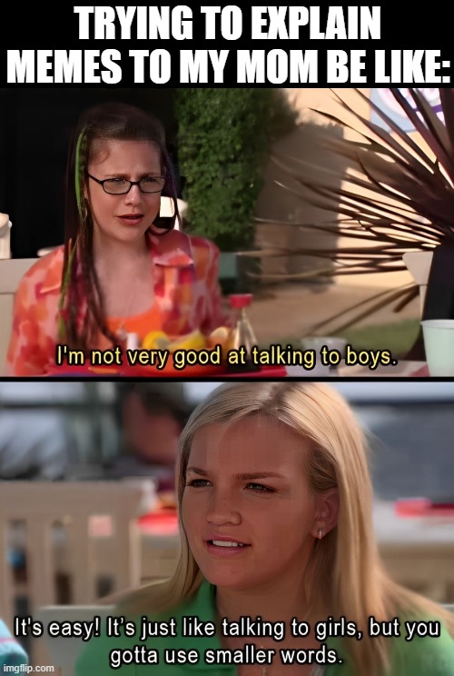 memes | TRYING TO EXPLAIN MEMES TO MY MOM BE LIKE: | image tagged in memes | made w/ Imgflip meme maker