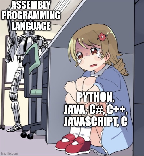 Anime Girl Hiding from Terminator | ASSEMBLY PROGRAMMING LANGUAGE; PYTHON, JAVA, C#, C++, JAVASCRIPT, C | image tagged in anime girl hiding from terminator | made w/ Imgflip meme maker