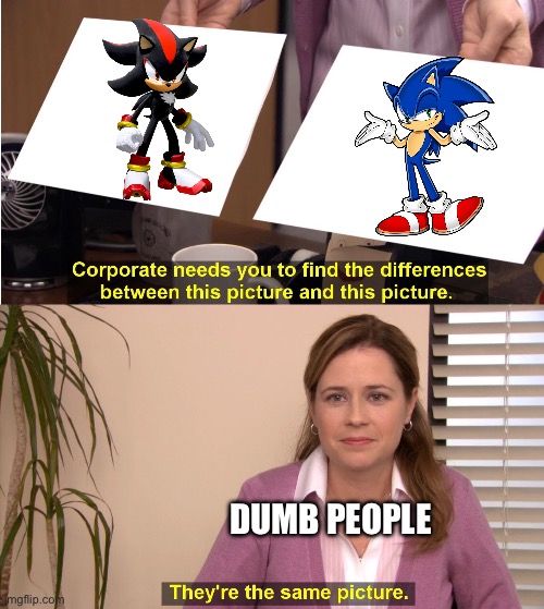 They're The Same Picture | DUMB PEOPLE | image tagged in memes,they're the same picture | made w/ Imgflip meme maker