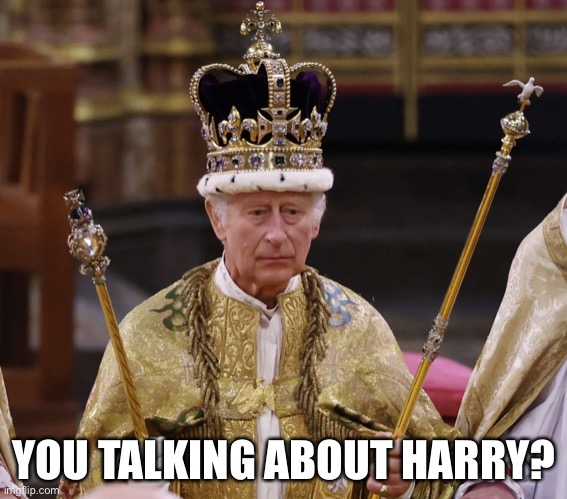 king Charles | YOU TALKING ABOUT HARRY? | image tagged in king charles | made w/ Imgflip meme maker