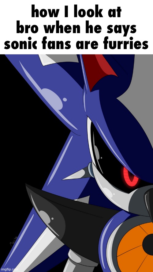 uh oh | how I look at bro when he says sonic fans are furries | image tagged in neo metal sonic stare,there is a c4 in your refrigerator | made w/ Imgflip meme maker