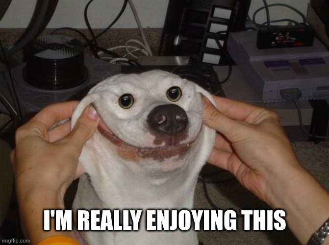 Forced To Smile Dog | I'M REALLY ENJOYING THIS | image tagged in forced to smile dog | made w/ Imgflip meme maker