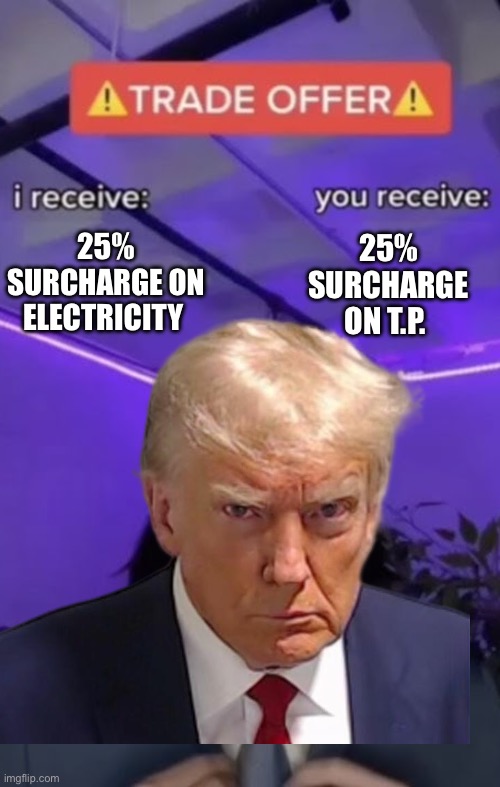 You recieve I recieve | 25% SURCHARGE ON ELECTRICITY 25% SURCHARGE ON T.P. | image tagged in you recieve i recieve | made w/ Imgflip meme maker