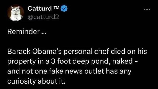 Obama's chef & Michelle's penis Blank Meme Template
