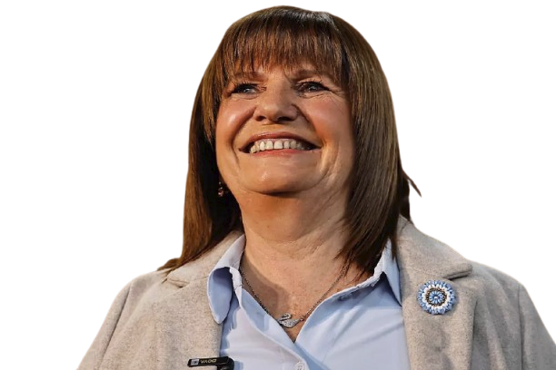 bullrich Blank Meme Template
