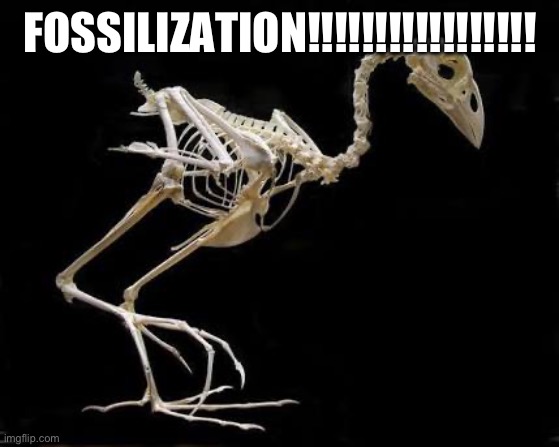 Pukeko | FOSSILIZATION!!!!!!!!!!!!!!!!! | image tagged in pukeko | made w/ Imgflip meme maker