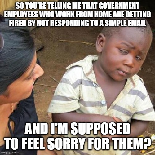 Feel Sorry For Them | SO YOU'RE TELLING ME THAT GOVERNMENT EMPLOYEES WHO WORK FROM HOME ARE GETTING FIRED BY NOT RESPONDING TO A SIMPLE EMAIL; AND I'M SUPPOSED TO FEEL SORRY FOR THEM? | image tagged in memes,third world skeptical kid,fired workers,govt workers | made w/ Imgflip meme maker