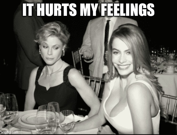 Breast envy | IT HURTS MY FEELINGS | image tagged in breast envy | made w/ Imgflip meme maker