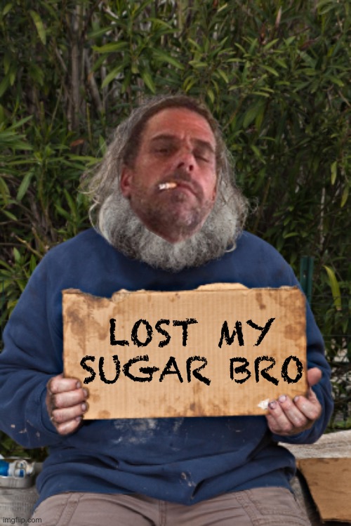 Blak Homeless Sign | LOST MY SUGAR BRO | image tagged in blak homeless sign | made w/ Imgflip meme maker