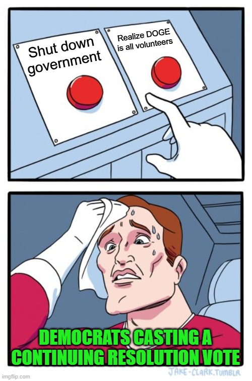 Two Buttons Meme | Realize DOGE is all volunteers; Shut down government; DEMOCRATS CASTING A CONTINUING RESOLUTION VOTE | image tagged in memes,two buttons | made w/ Imgflip meme maker