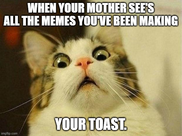 Scared Cat | WHEN YOUR MOTHER SEE'S ALL THE MEMES YOU'VE BEEN MAKING; YOUR TOAST. | image tagged in memes,scared cat | made w/ Imgflip meme maker