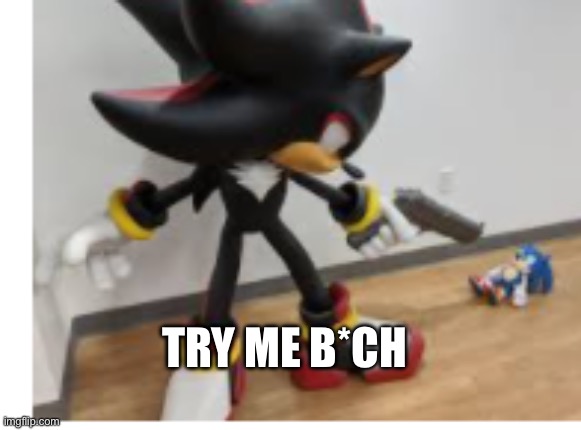 TRY ME B*CH | image tagged in shadow pointing gun at sonic | made w/ Imgflip meme maker