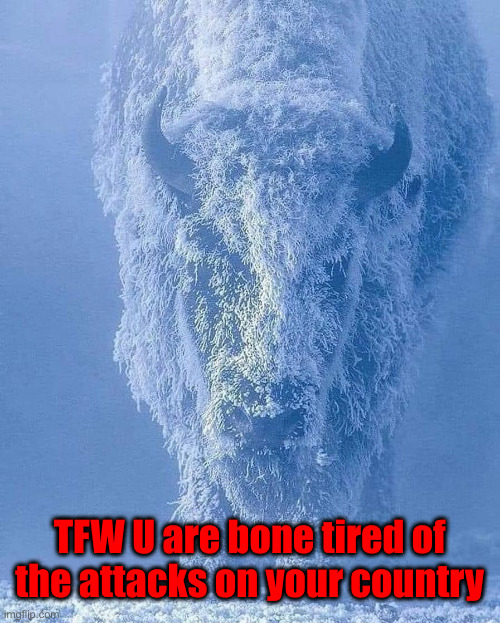 Our Turn | TFW U are bone tired of the attacks on your country | image tagged in frosty bison,politics,political meme,funny memes,funny | made w/ Imgflip meme maker